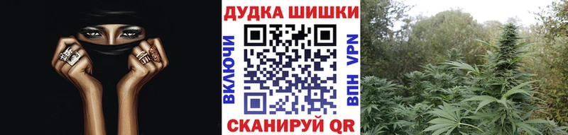 Наркошоп купить Гашиш  Канабис  Alpha-PVP  Меф  Псилоцибиновые грибы  КОКАИН  Сланцы