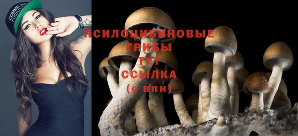 стаф Кукмор