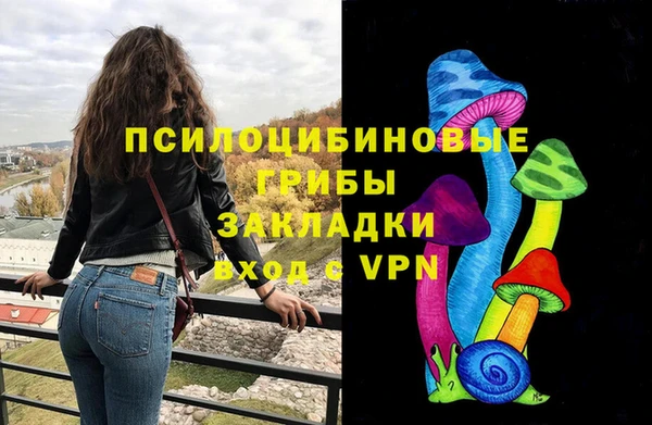 крисы Куйбышев