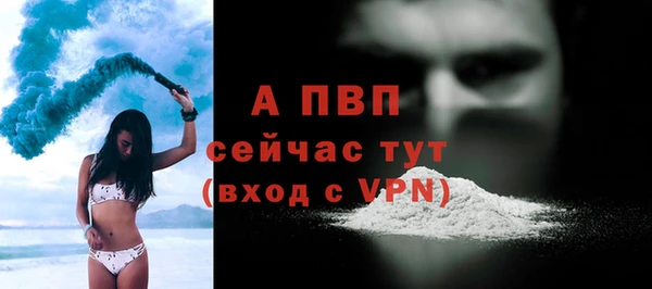 стаф Кукмор