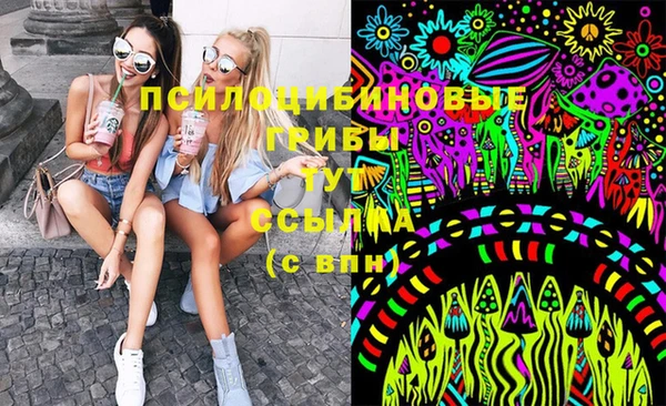 крисы Куйбышев