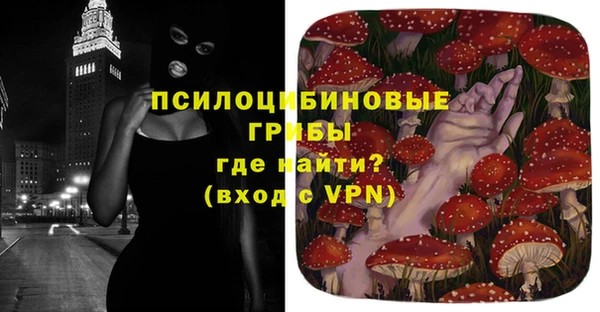 spice Лабытнанги
